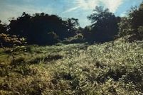 Land for sale in New Haven County, Connecticut