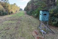 Land for sale in Saint Helena Parish, Louisiana