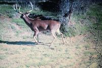 Undeveloped Land for sale in Hinds County, Mississippi