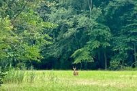 Land for sale in Cumberland County, New Jersey