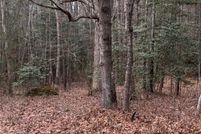 Land for sale in Prince George County, Virginia