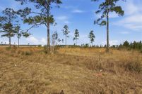 Land for sale in Calcasieu Parish, Louisiana