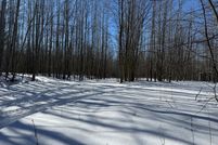 Land for sale in Alcona County, Michigan