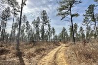 Undeveloped Land for sale in Hinds County, Mississippi
