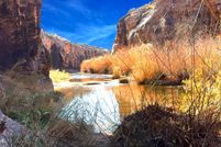 Land for sale in Navajo County, Arizona