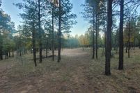 Land for sale in Coconino County, Arizona