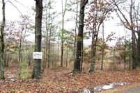 Undeveloped Land for sale in Little River County, Arkansas