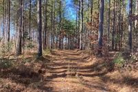 Land for sale in Campbell County, Virginia