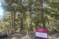 Land for sale in Colfax County, New Mexico