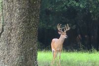 Land for sale in Sumter County, Georgia