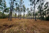 Undeveloped Land for sale in Wilcox County, Alabama