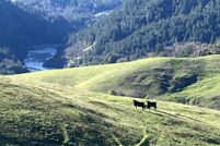 Land for sale in Humboldt County, California