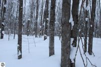 Land for sale in Kalkaska County, Michigan