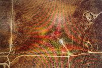 Land for sale in Los Angeles County, California