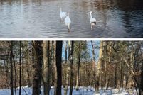 Land for sale in Montcalm County, Michigan