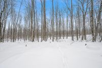 Land for sale in Lake County, Michigan