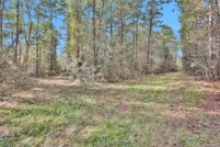 Land for sale in Montgomery County, Texas