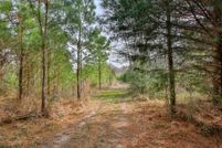 Land for sale in San Jacinto County, Texas
