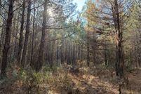 Land for sale in Liberty County, Texas