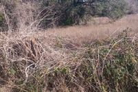 Land for sale in Lavaca County, Texas