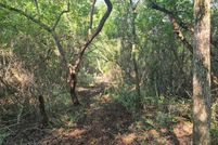 Land for sale in Tyler County, Texas