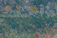 Land for sale in Brazoria County, Texas