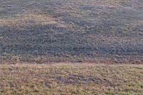 Undeveloped Land for sale in Liberty County, Texas