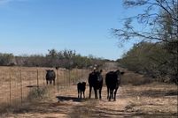 Land for sale in McCulloch County, Texas