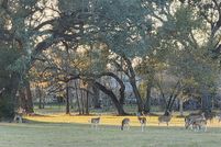 Land for sale in Brazoria County, Texas