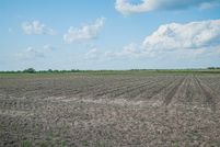 Land for sale in Austin County, Texas
