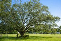 Land for sale in Matagorda County, Texas