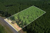 Land for sale in Montgomery County, Texas