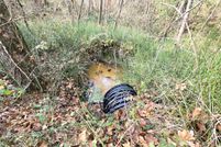 Land for sale in San Jacinto County, Texas