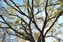 Land for sale in Colorado County, Texas