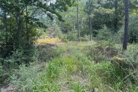 Homesite for sale in Jasper County, Texas