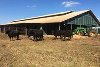 Land for sale in Brazoria County, Texas