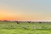 Land for sale in Austin County, Texas