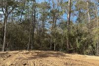 Land for sale in Montgomery County, Texas