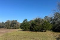 Land for sale in Madison County, Texas