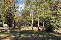 Land for sale in Polk County, Texas