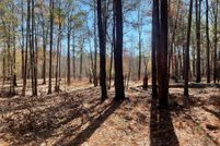 Land for sale in San Augustine County, Texas