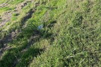 Land for sale in Brazoria County, Texas