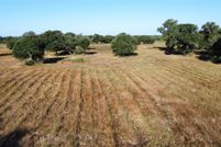 Land for sale in Colorado County, Texas