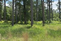 Homesite for sale in Jasper County, Texas