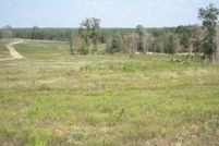 Land for sale in Tyler County, Texas