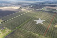 Land for sale in Fort Bend County, Texas