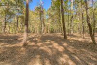 Land for sale in Walker County, Texas