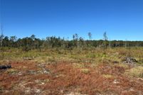 Land for sale in Tyler County, Texas