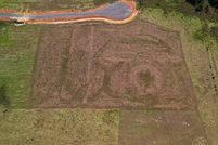 Land for sale in Tyler County, Texas