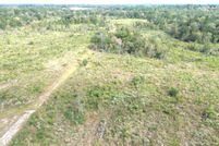 Land for sale in Houston County, Texas
